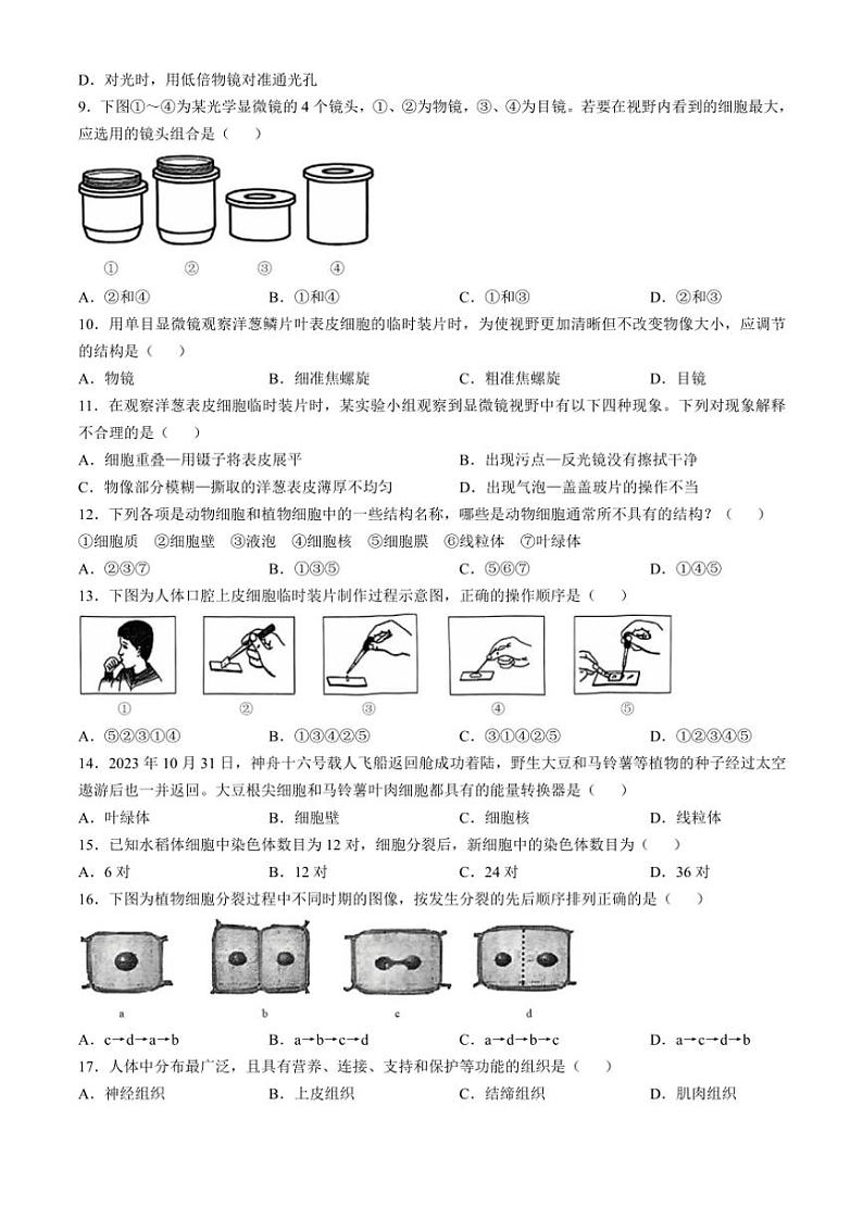 云南省昆明市寻甸回族彝族自治县第一中学2024~2025学年七年级(上)期中生物试卷(含解析)02