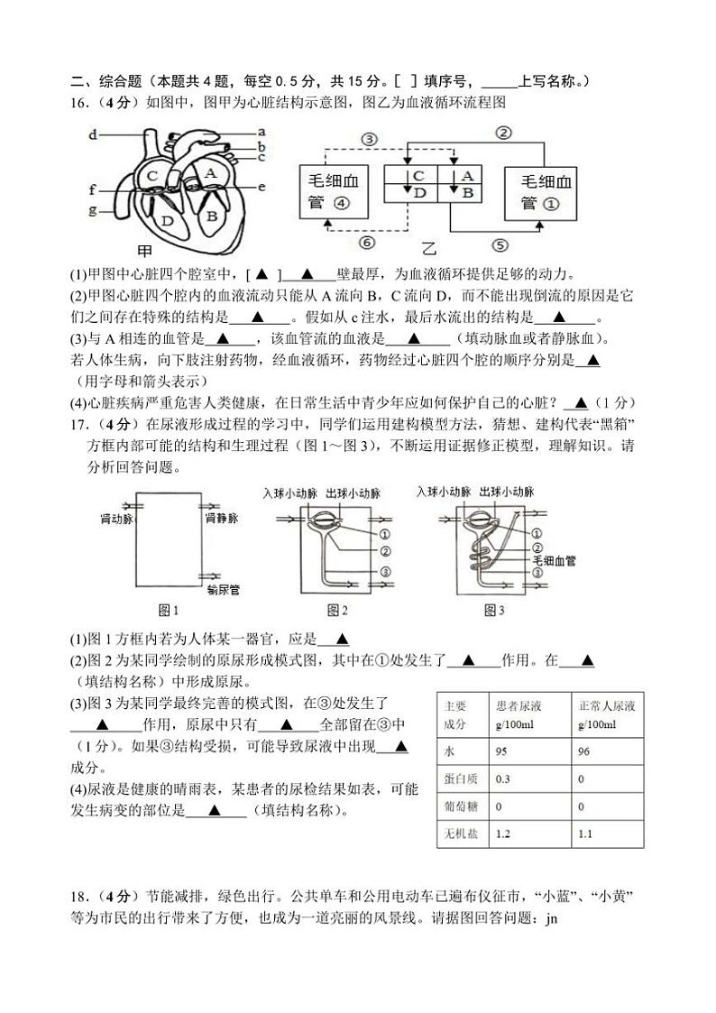 江苏省连云港市2024~2025学年八年级(上)期中生物试卷(含答案)第3页