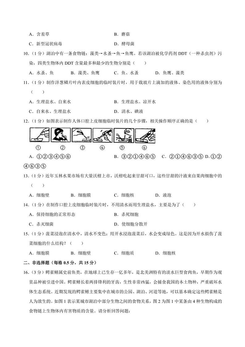 江苏省南通市海安市13校2024~2025学年联考七年级(上)期中生物试卷(含解析)第2页