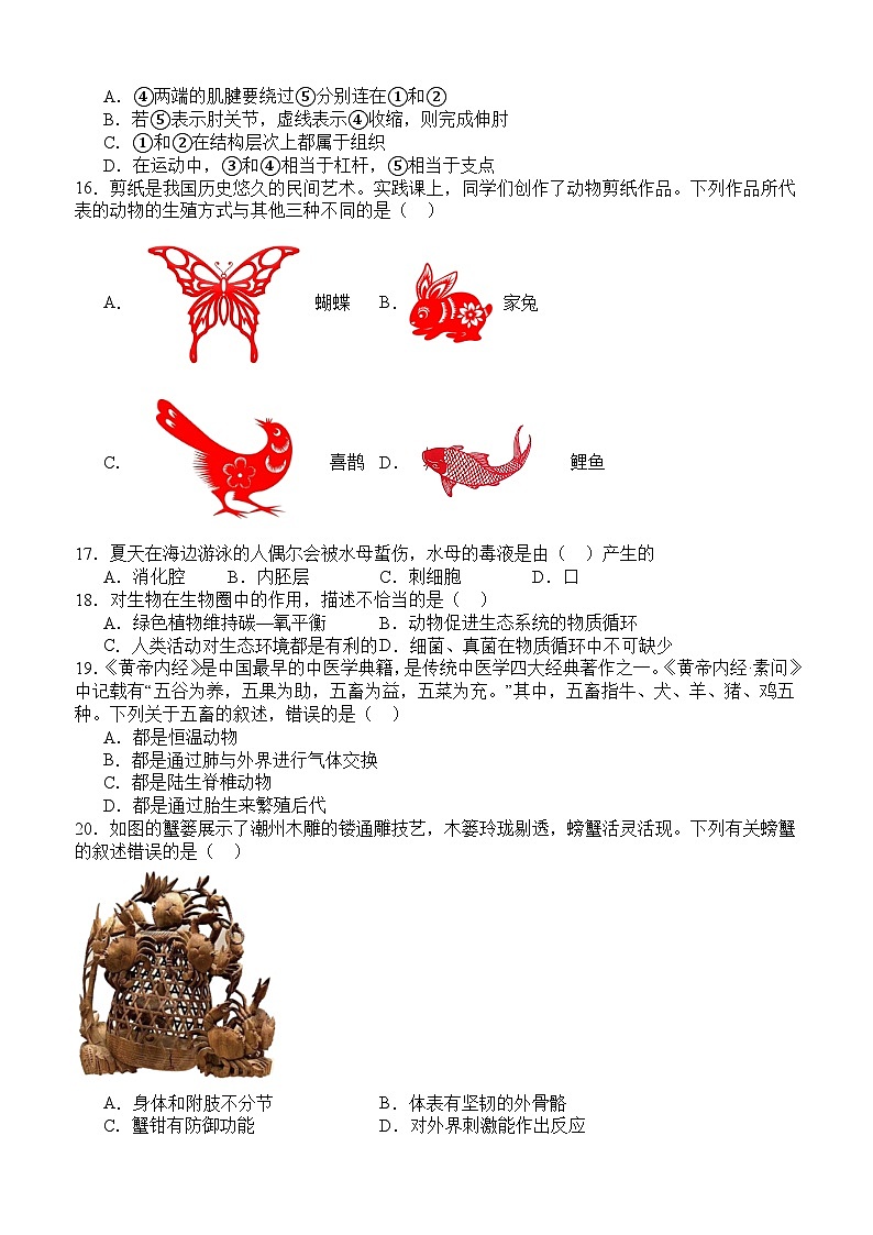 泸县四中教育共同体2024秋期八年级期中生物试卷第3页
