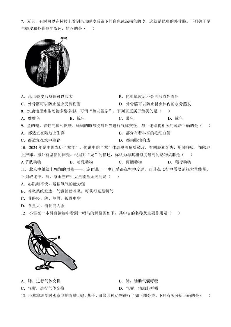 山西省吕梁市文水县多校2024~2025学年八年级(上)第一次月考生物试卷(含答案)02