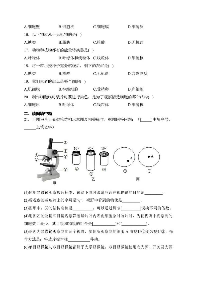 河南省驻马店市泌阳县光亚学校、致远学校2024~2025学年七年级(上)10月月考生物试卷(含答案)第3页