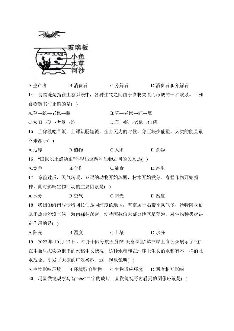 江苏省宿迁市宿豫区城区三校联考2024~2025学年七年级(上)10月月考生物试卷(含答案)第3页