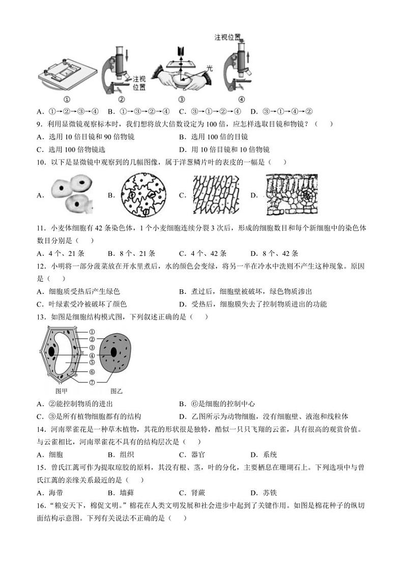 山东省聊城市临清市2024~2025学年七年级(上)期中生物试卷(含答案)第2页