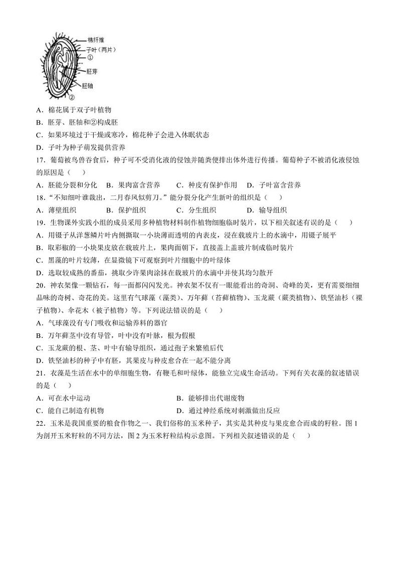 山东省聊城市临清市2024~2025学年七年级(上)期中生物试卷(含答案)第3页