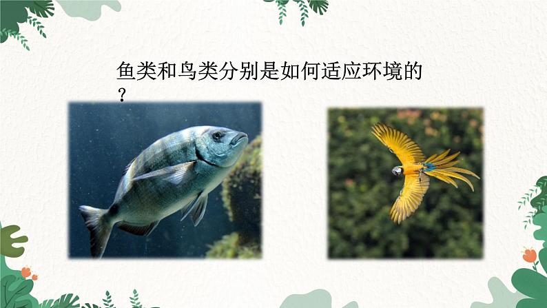 济南版生物八年级下册 6.1.2 生物对环境的适应与影响课件第7页