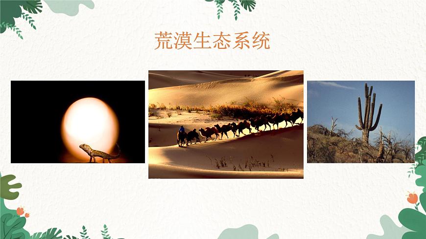 濟(jì)南版生物八年級下冊 6.2.4 生態(tài)系統(tǒng)的類型課件第8頁