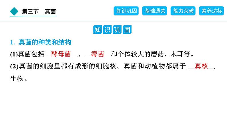 2024人教版生物七年级上册第二单元多种多样的生物第三章微生物2.3.3 真菌 习题课件ppt第2页