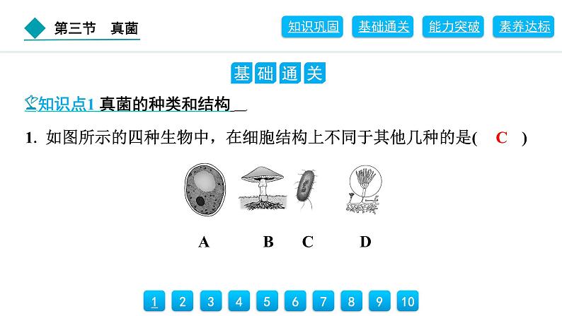 2024人教版生物七年级上册第二单元多种多样的生物第三章微生物2.3.3 真菌 习题课件ppt第6页