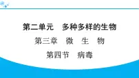 人教版(2024)七年级上册(2024)第四节 病毒习题ppt课件