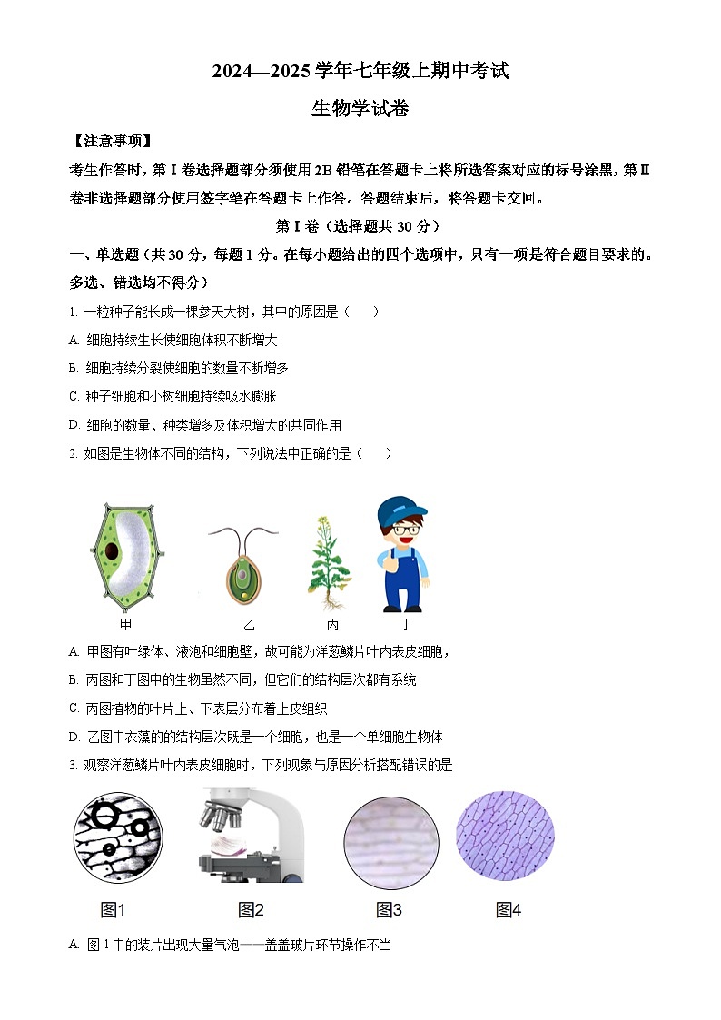 四川省自贡市富顺第二中学校2024-2025学年七年级上学期期中生物学试题(原卷版)-A4第1页