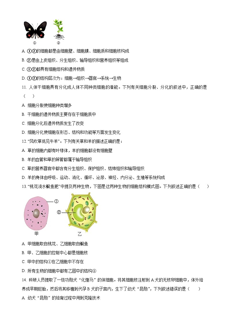四川省自贡市富顺第二中学校2024-2025学年七年级上学期期中生物学试题(原卷版)-A4第3页