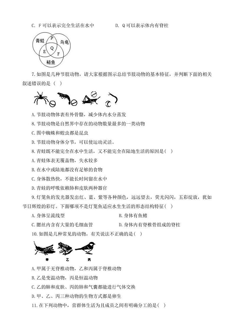 河南省开封市杞县2024-2025学年八年级上学期期中生物试题第2页