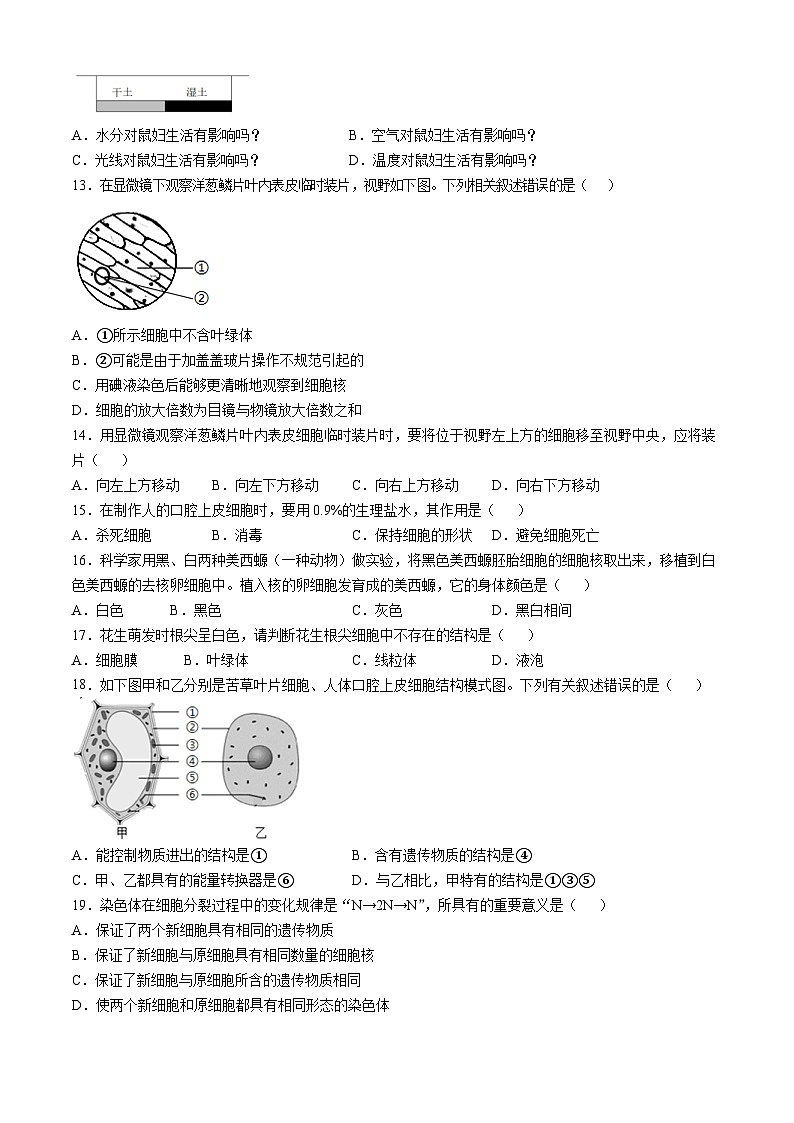 福建省龙岩漳平市2024-2025学年七年级上学期期中生物学试题第2页