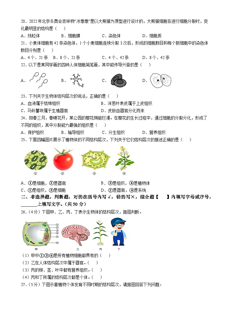 福建省龙岩漳平市2024-2025学年七年级上学期期中生物学试题第3页