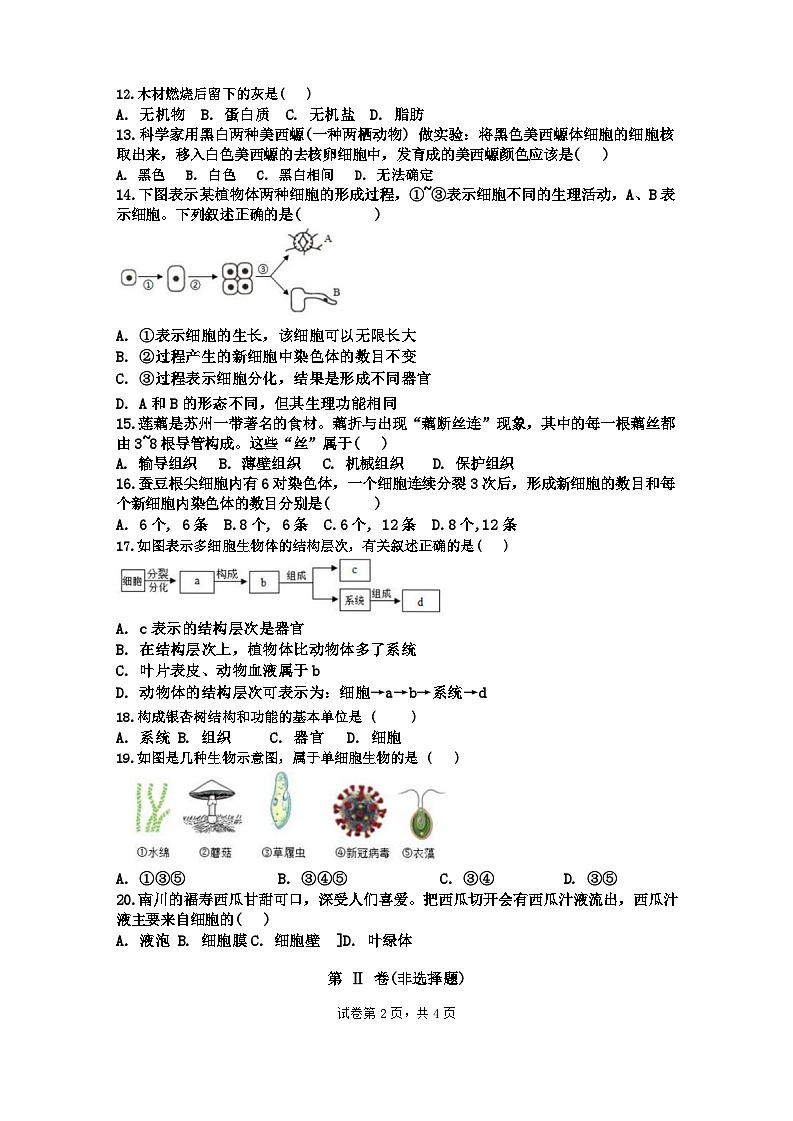 重庆市南川区三校联盟2024-2025学年七年级上学期期中考试生物试题(a卷)第2页
