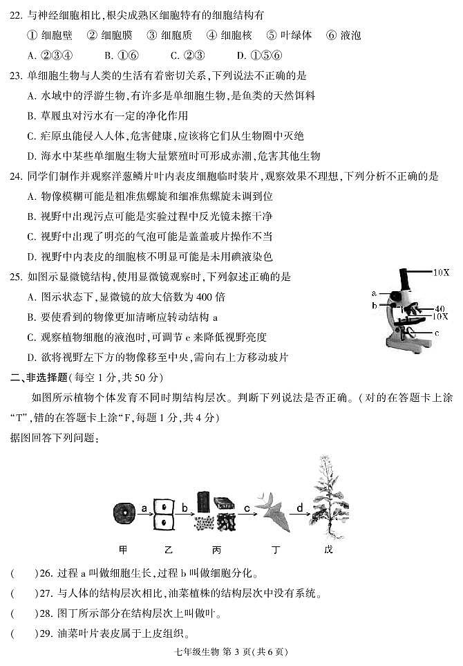 福建省三明市沙县2024-2025学年七年级上学期期中考试生物试题第3页