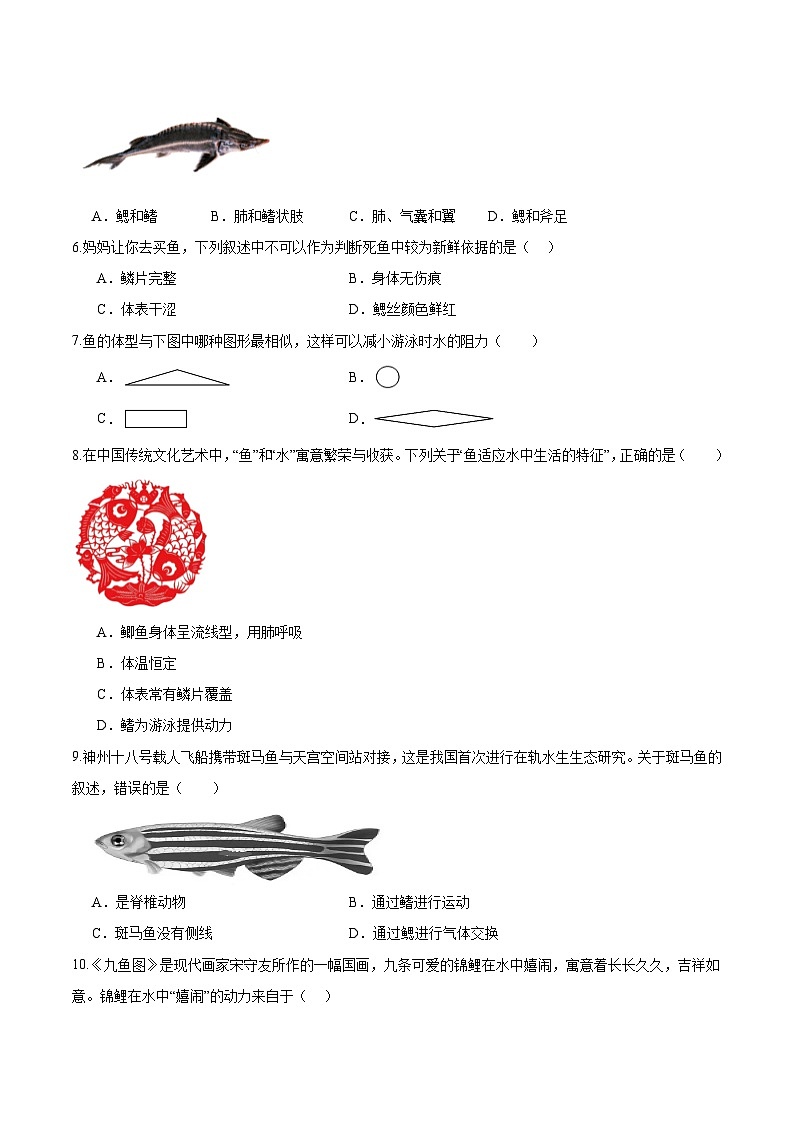 2.2.2 脊椎动物(一)鱼(分层培优练)(原卷版)第2页