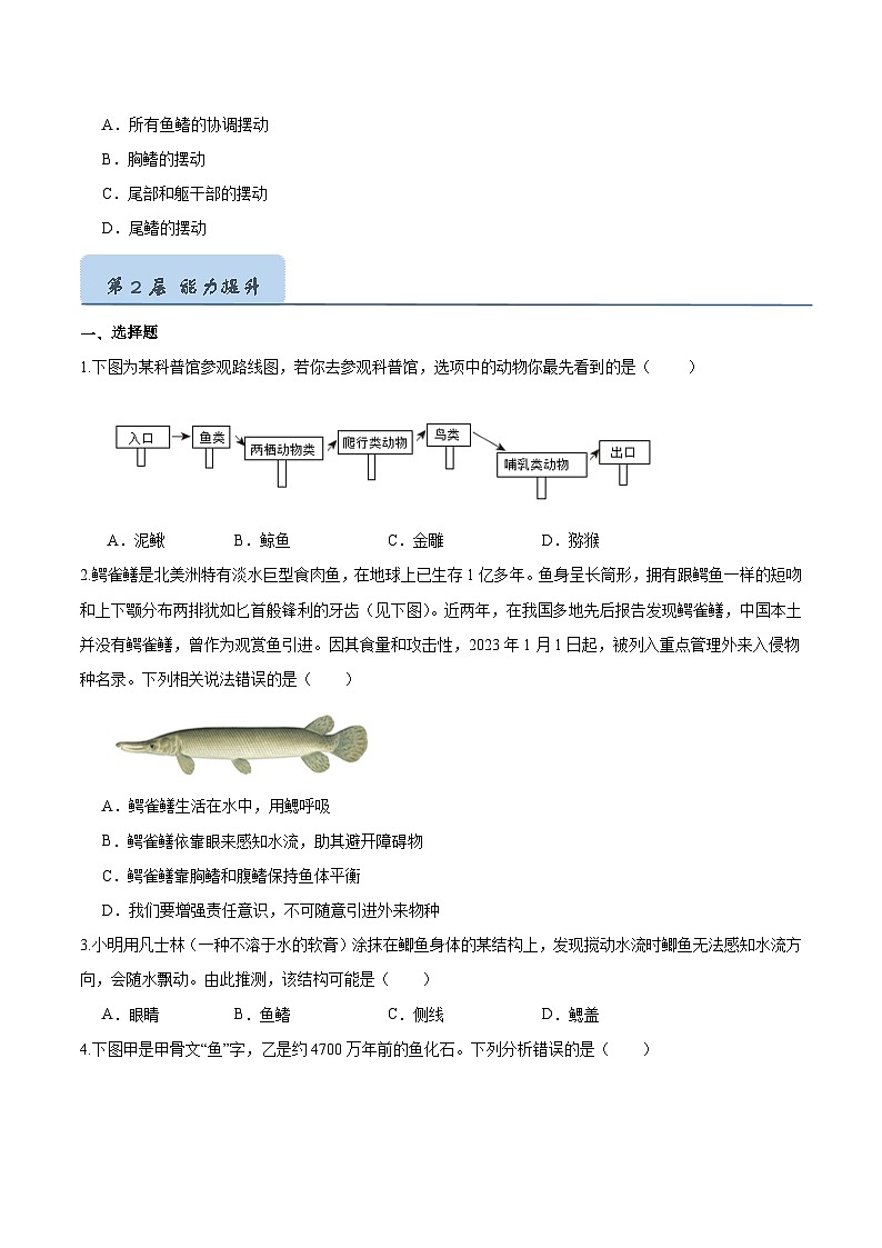 2.2.2 脊椎动物(一)鱼(分层培优练)(原卷版)第3页