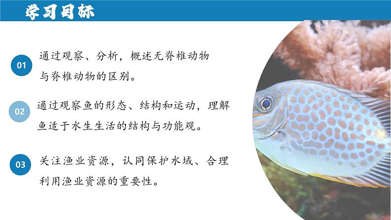 2.2.2+脊椎动物(一)鱼第2页