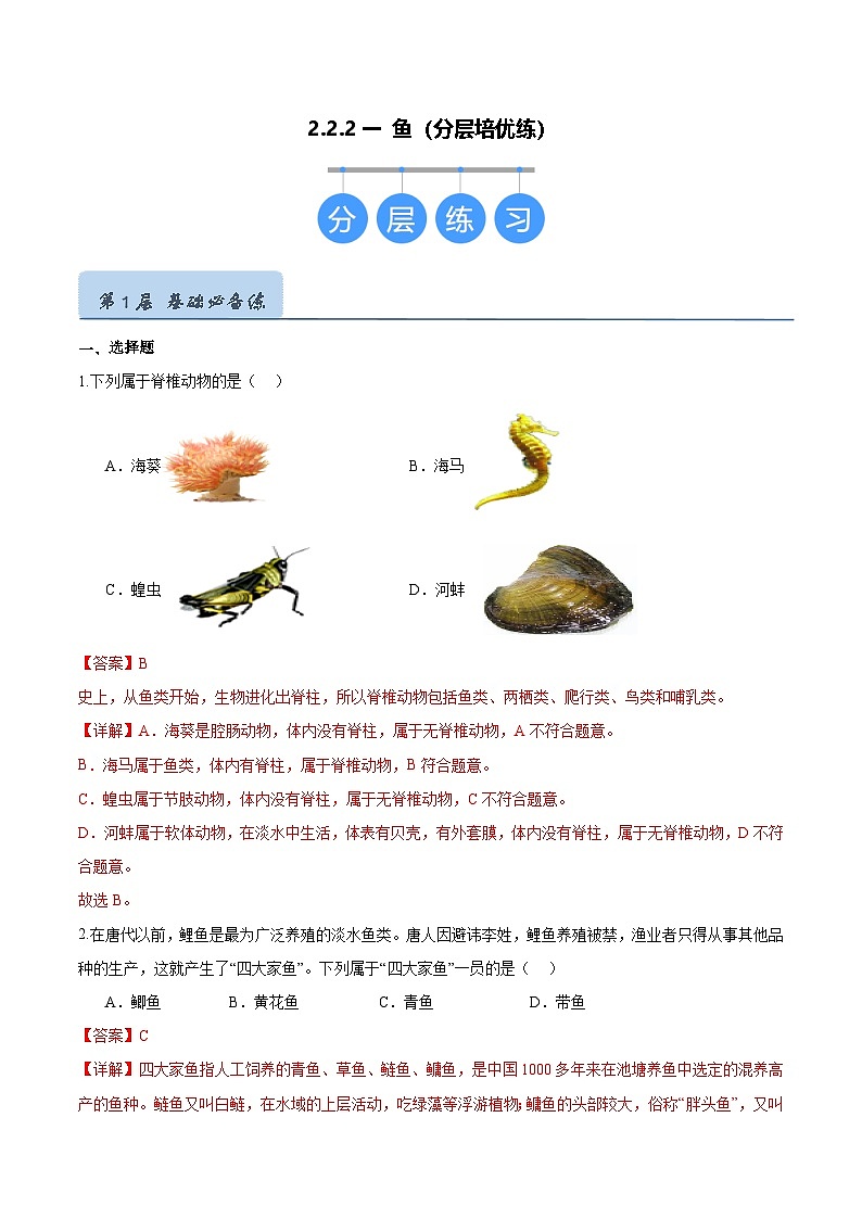 2.2.2 脊椎动物(一)鱼(分层培优练)(解析版)第1页