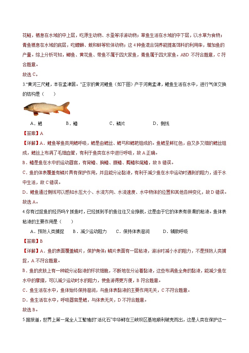 2.2.2 脊椎动物(一)鱼(分层培优练)(解析版)第2页