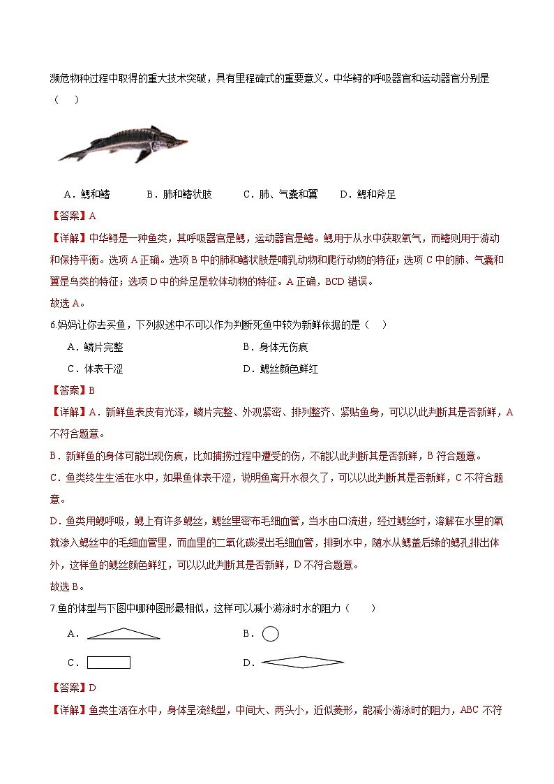 2.2.2 脊椎动物(一)鱼(分层培优练)(解析版)第3页