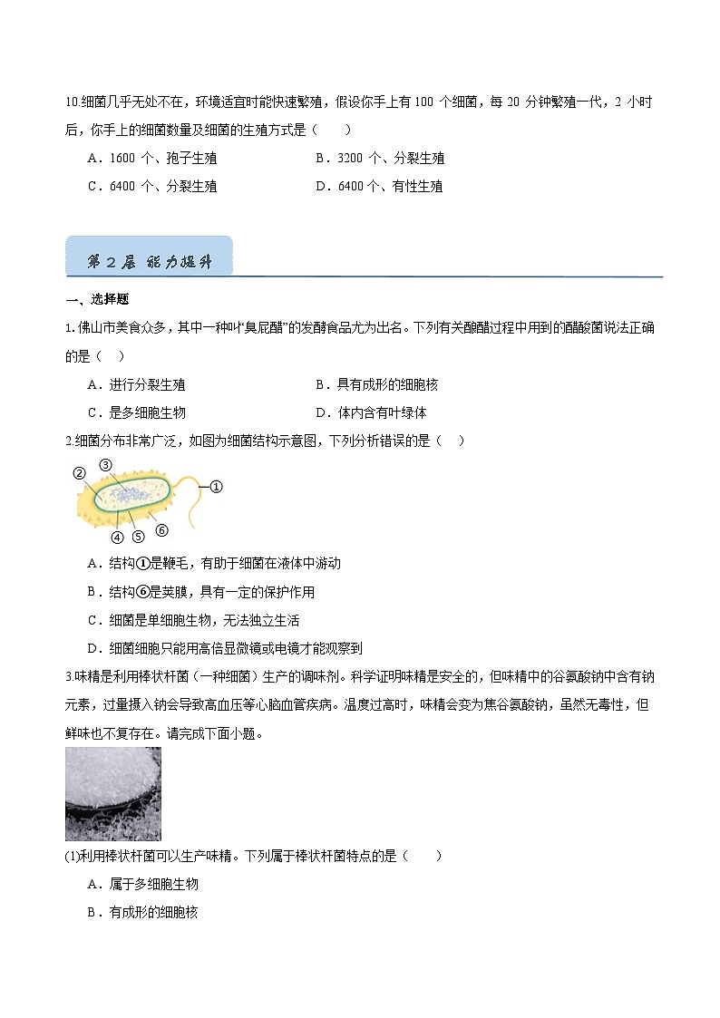 2.3.2 细菌(分层培优练)(原卷版)第3页
