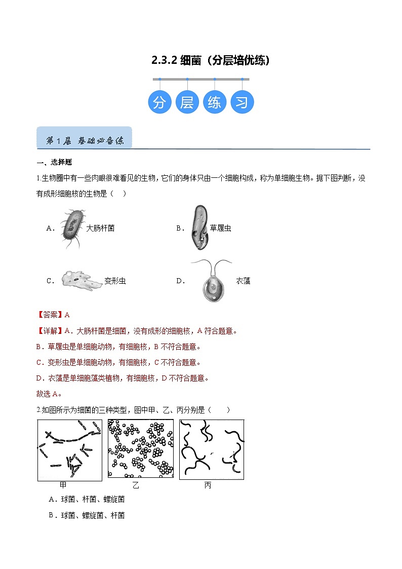 2.3.2 细菌(分层培优练)(解析版)第1页