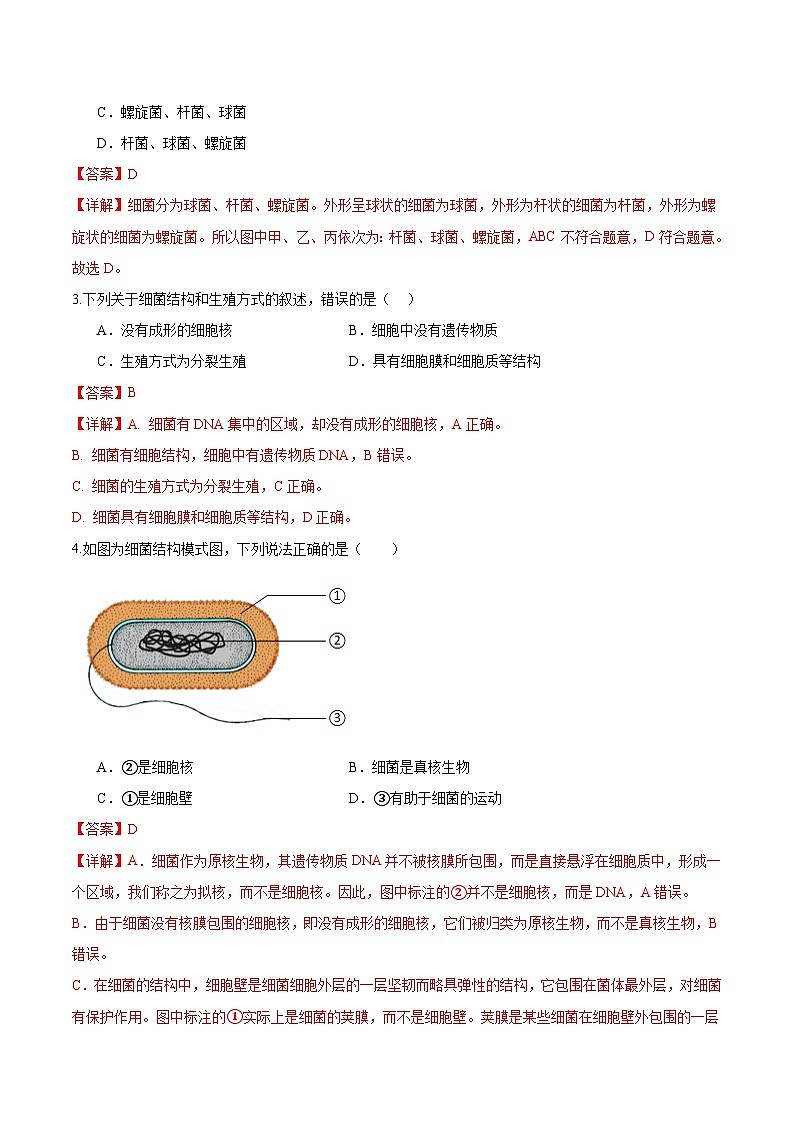 2.3.2 细菌(分层培优练)(解析版)第2页
