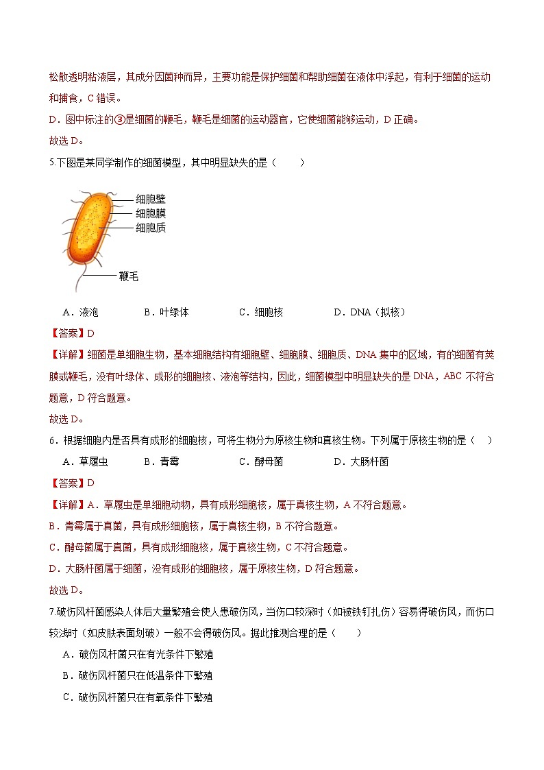 2.3.2 细菌(分层培优练)(解析版)第3页