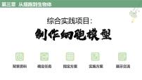 人教版（2024）七年級上冊（2024）綜合實踐項目 制作細胞模型備課ppt課件