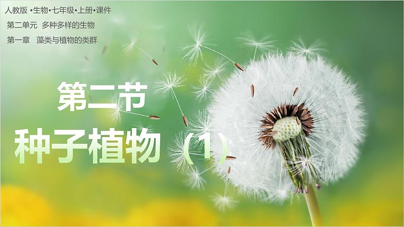 2.1.2+种子植物(第1课时)第1页