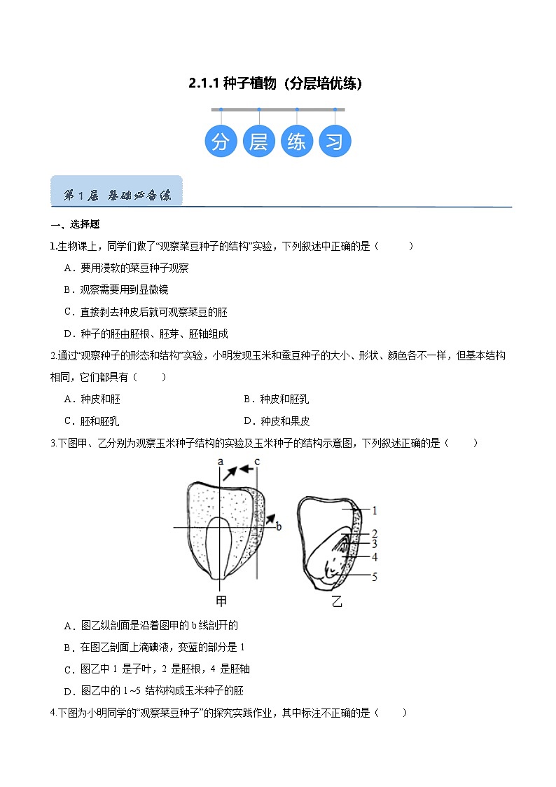 2.1.2 种子植物(原卷版)第1页