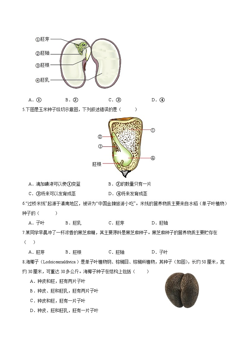 2.1.2 种子植物(原卷版)第2页