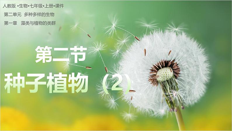 2.1.2 种子植物(第2课时) 第1页