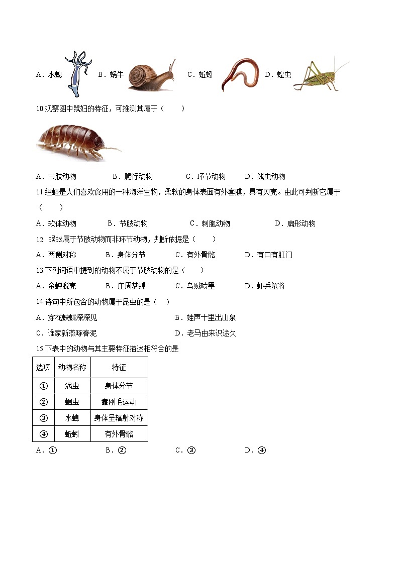 2.2.1 无脊椎动物(分层培优练)(原卷版)第2页