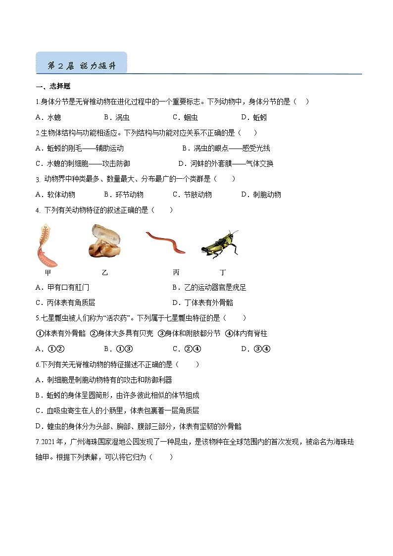 2.2.1 无脊椎动物(分层培优练)(原卷版)第3页