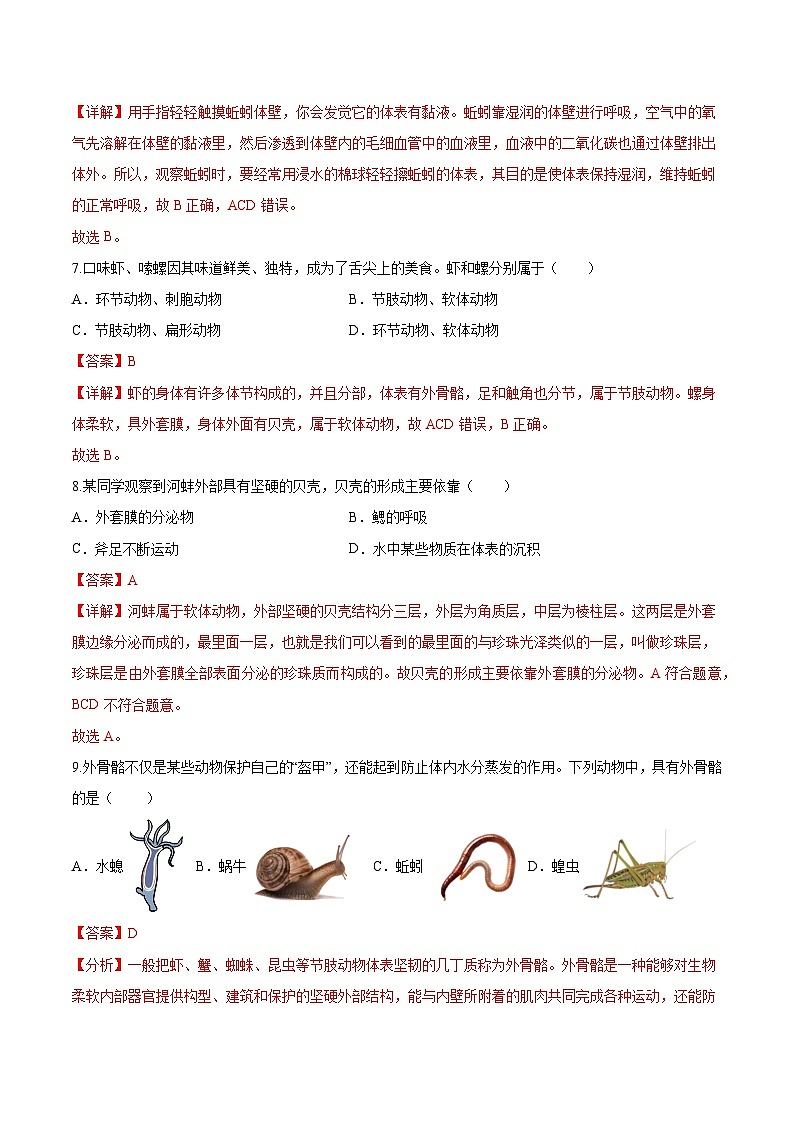2.2.1 无脊椎动物(分层培优练)(解析版)第3页