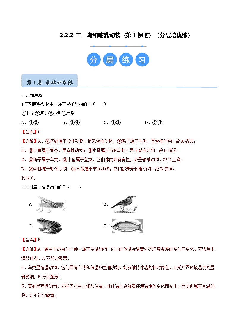 2.2.2 脊椎动物(三)鸟和哺乳动物(第1课时)(分层培优练)(解析版)第1页