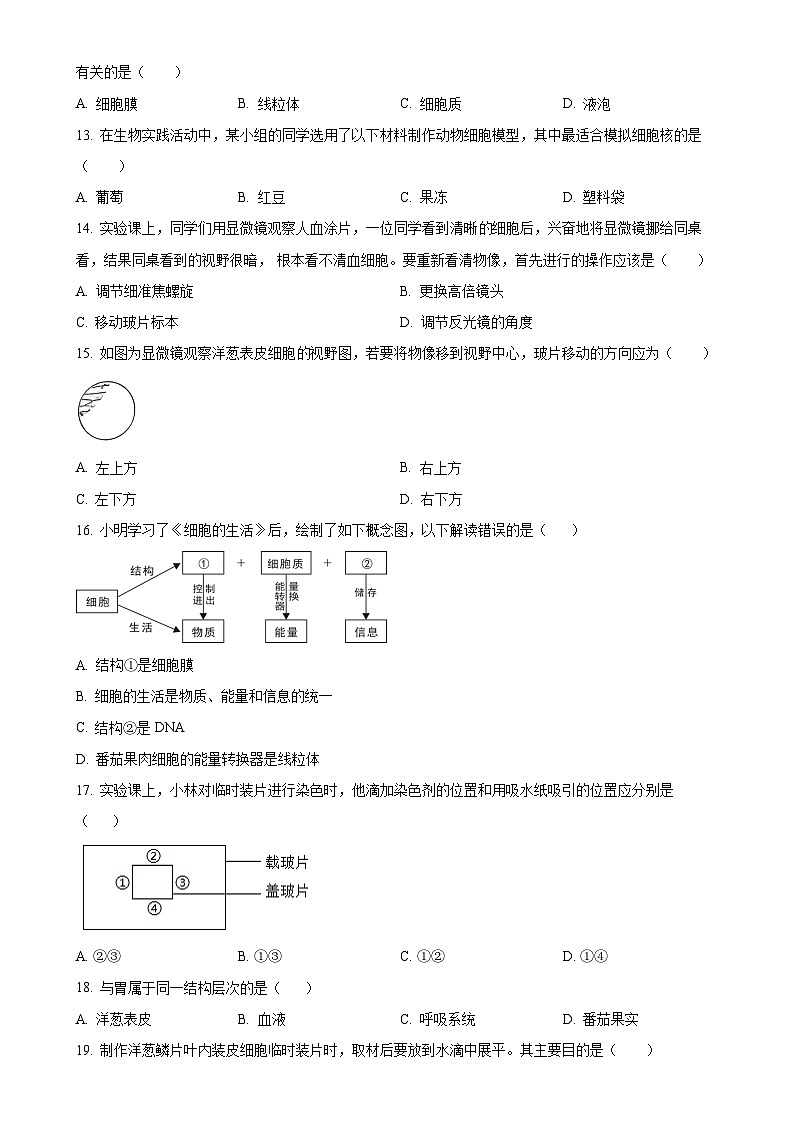 湖南省湘西州花垣县2024-2025学年七年级上学期期中生物试题(原卷版)-A4第3页