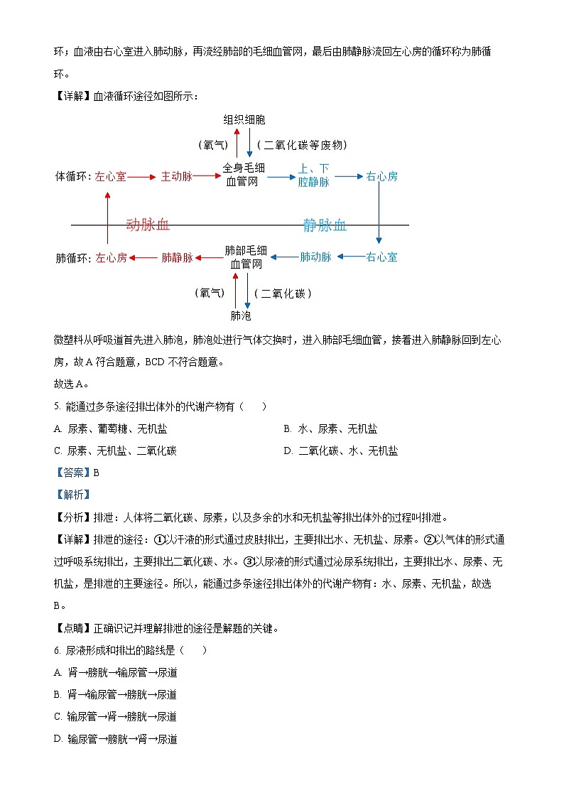 陕西省安康市汉滨高级中学2024-2025学年八年级上学期期中生物学试题(解析版)-A4第3页