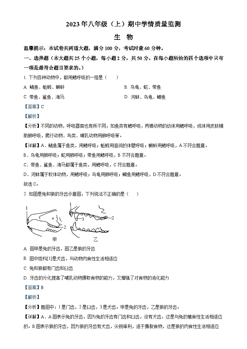湖南省邵阳市新邵县2023-2024学年八年级上学期期中生物学试题(解析版)-A4第1页