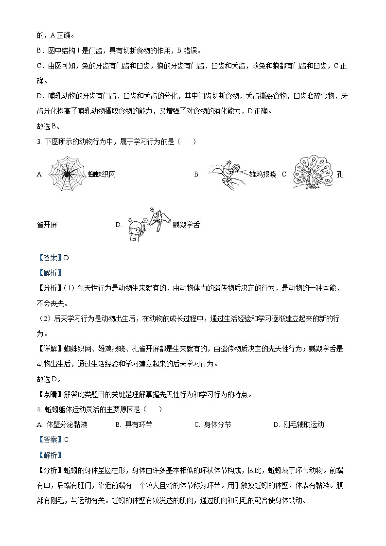 湖南省邵阳市新邵县2023-2024学年八年级上学期期中生物学试题(解析版)-A4第2页