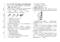 内蒙古鄂尔多斯市康巴什区第一中学等校2024-2025学年七年级上学期期中考试生物试题