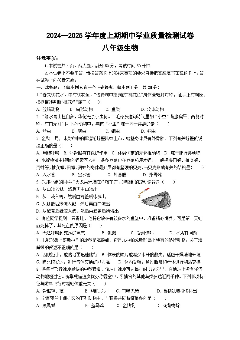 河南省信阳市新县2024-2025学年八年级上学期期中质量监测生物试卷第1页