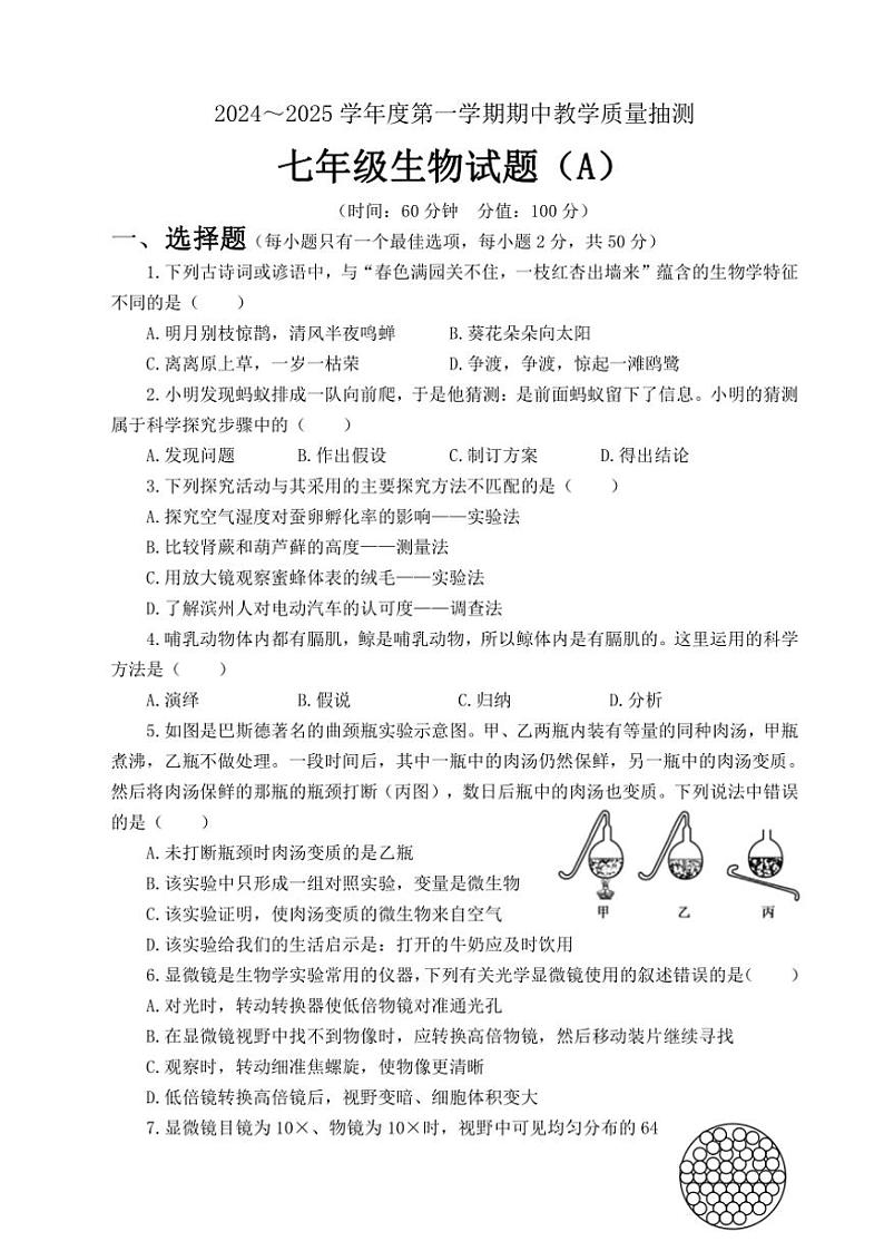 山东省滨州市滨城区2024~2025学年七年级(上)期中生物试卷(含答案)第1页