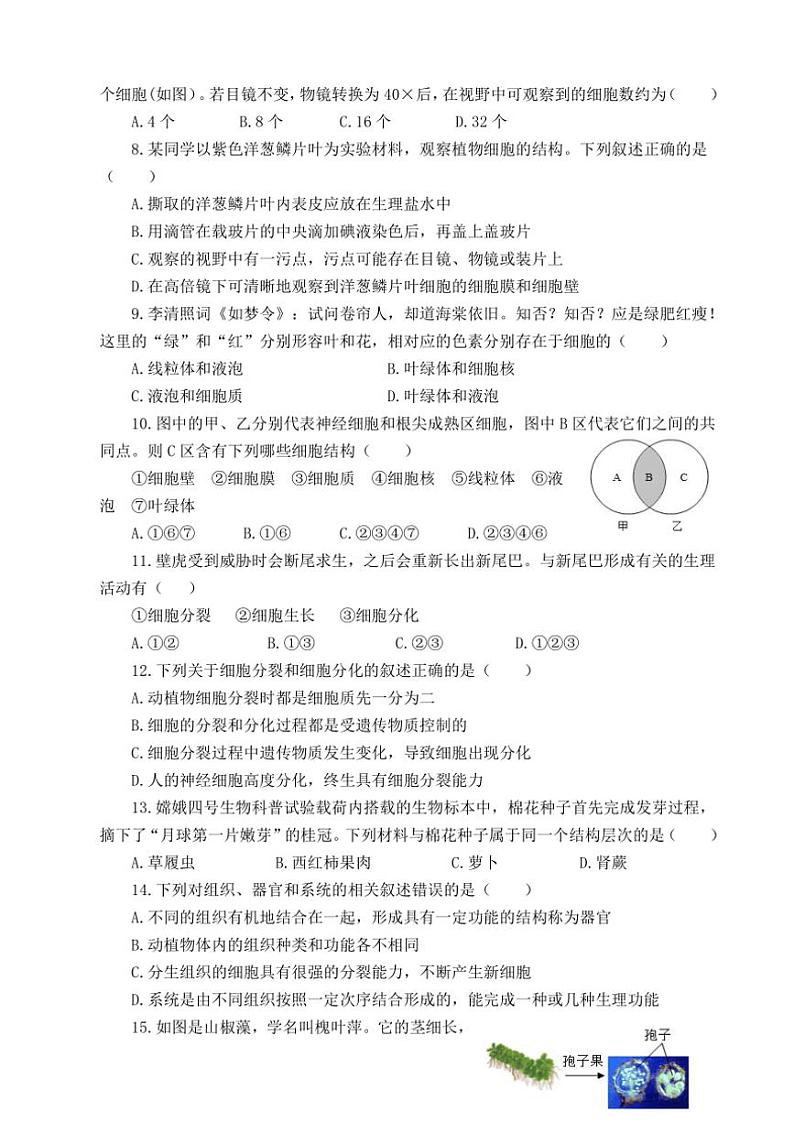 山东省滨州市滨城区2024~2025学年七年级(上)期中生物试卷(含答案)第2页