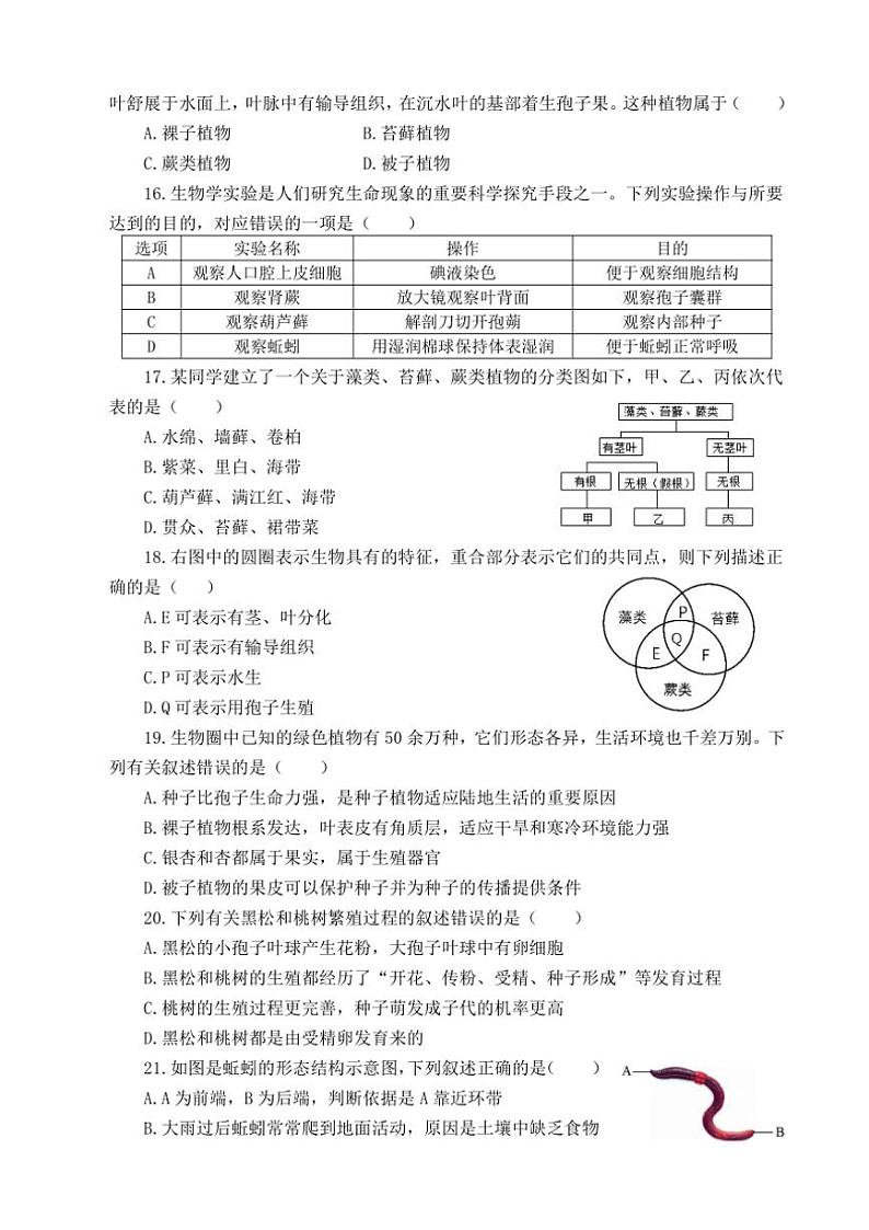 山东省滨州市滨城区2024~2025学年七年级(上)期中生物试卷(含答案)第3页