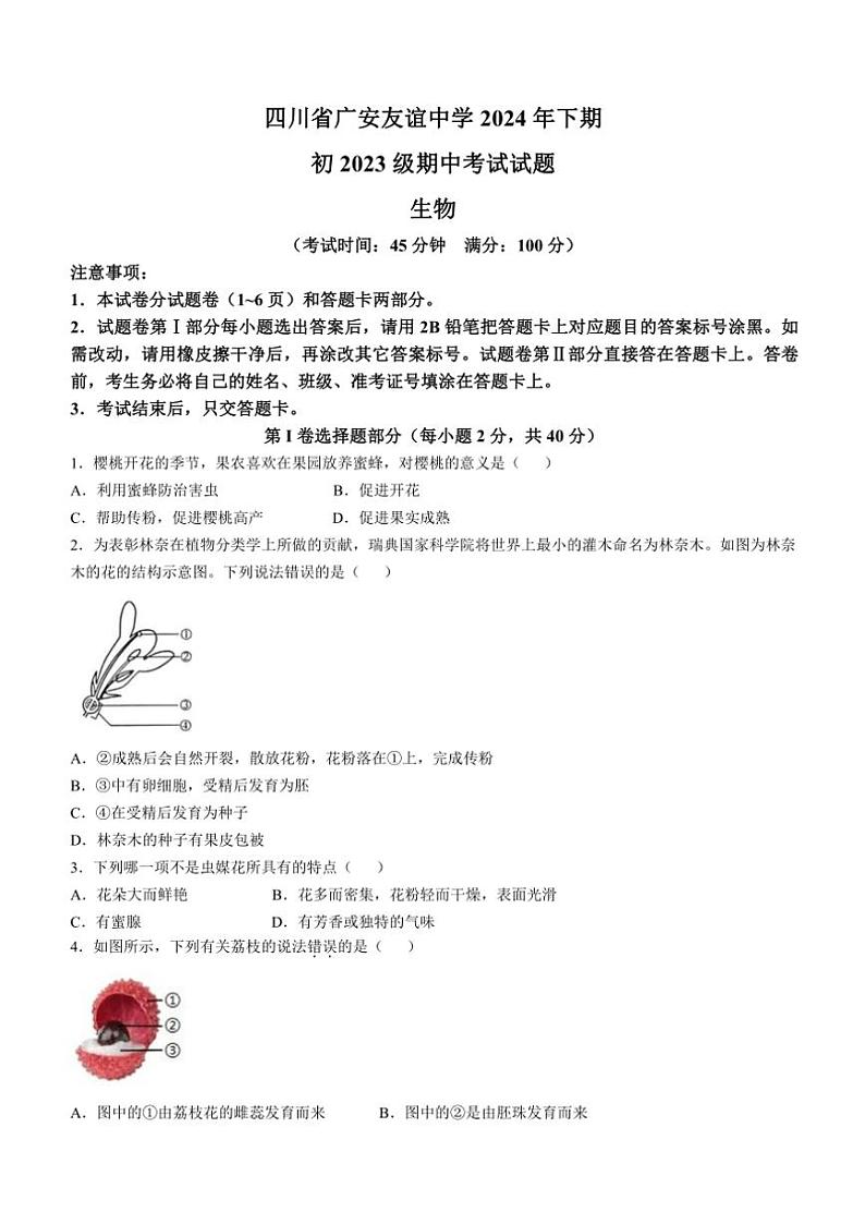 四川省广安市友谊中学2024~2025学年八年级(上)期中生物试卷(含答案)第1页